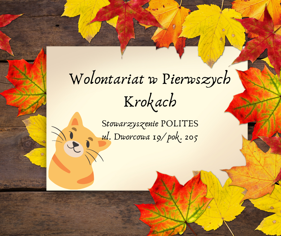 Warsztaty: Wolontariat w Pierwszych Krokach- wrzesień 2021