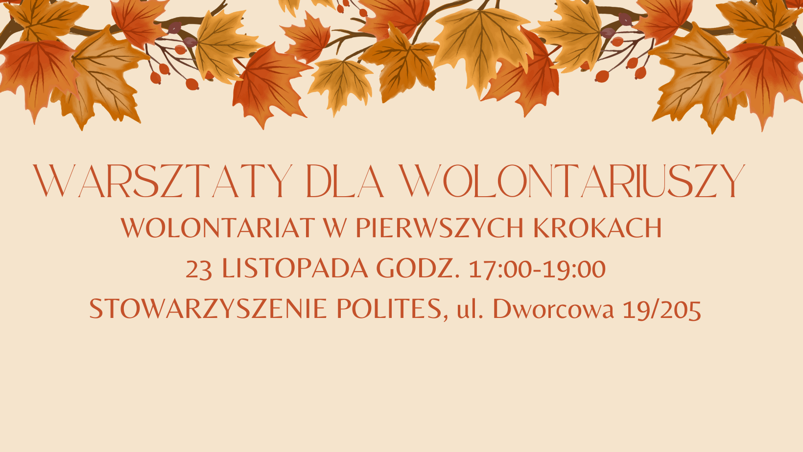 Warsztat wprowadzający | Wolontariat w pierwszych krokach