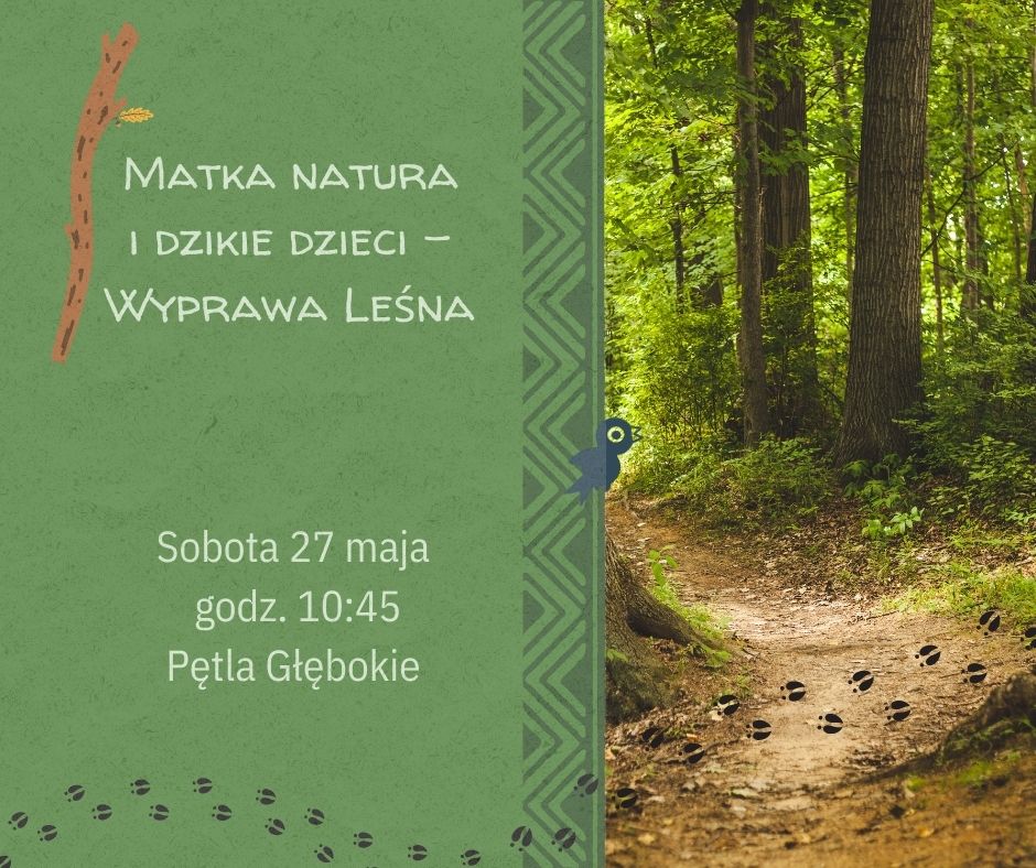 Matka natura i dzikie dzieci – wyprawa leśna