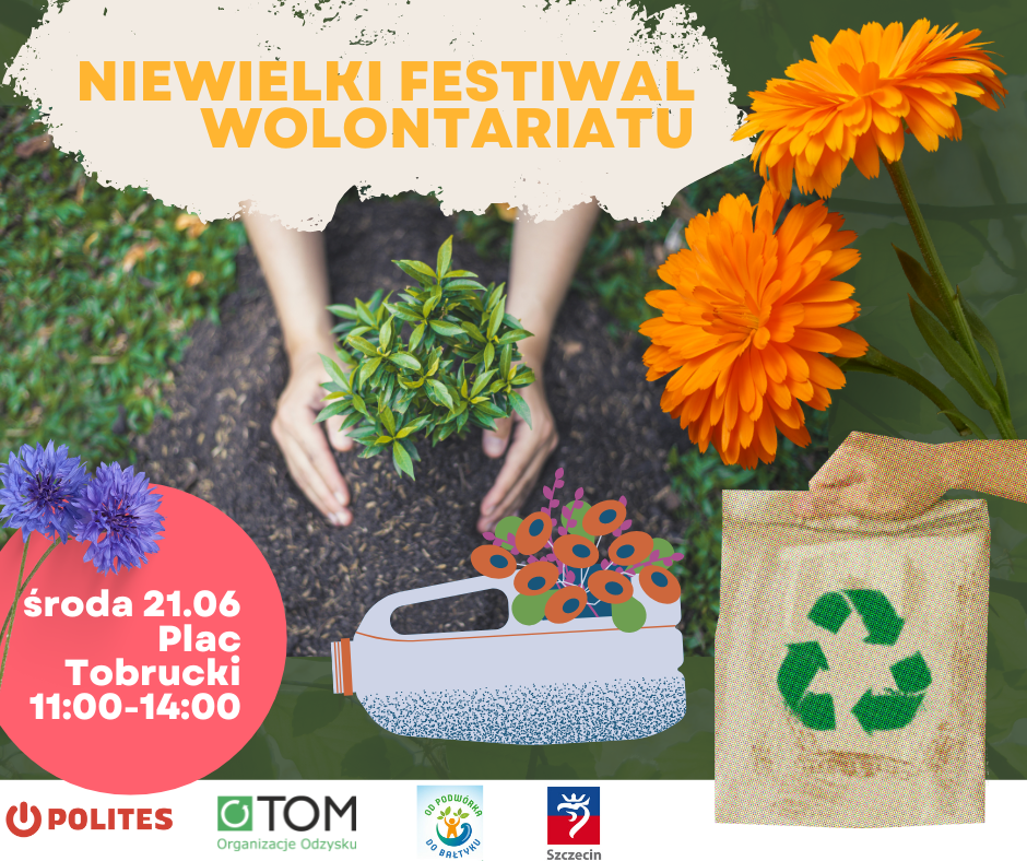 NieWielki Festiwal Wolontariatu