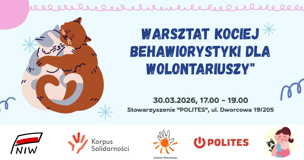 Jak być kotem w pomaganiu – warsztat kociej behawiorystyki dla wolontariuszy! 