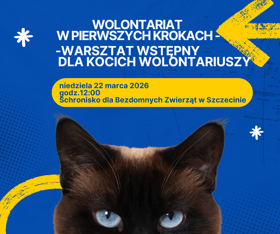  Wolontariat w pierwszych krokach- Warsztat wstępny dla kocich wolontariuszy w Schronisku, niedziela 22.03.2026 godz. 12:00