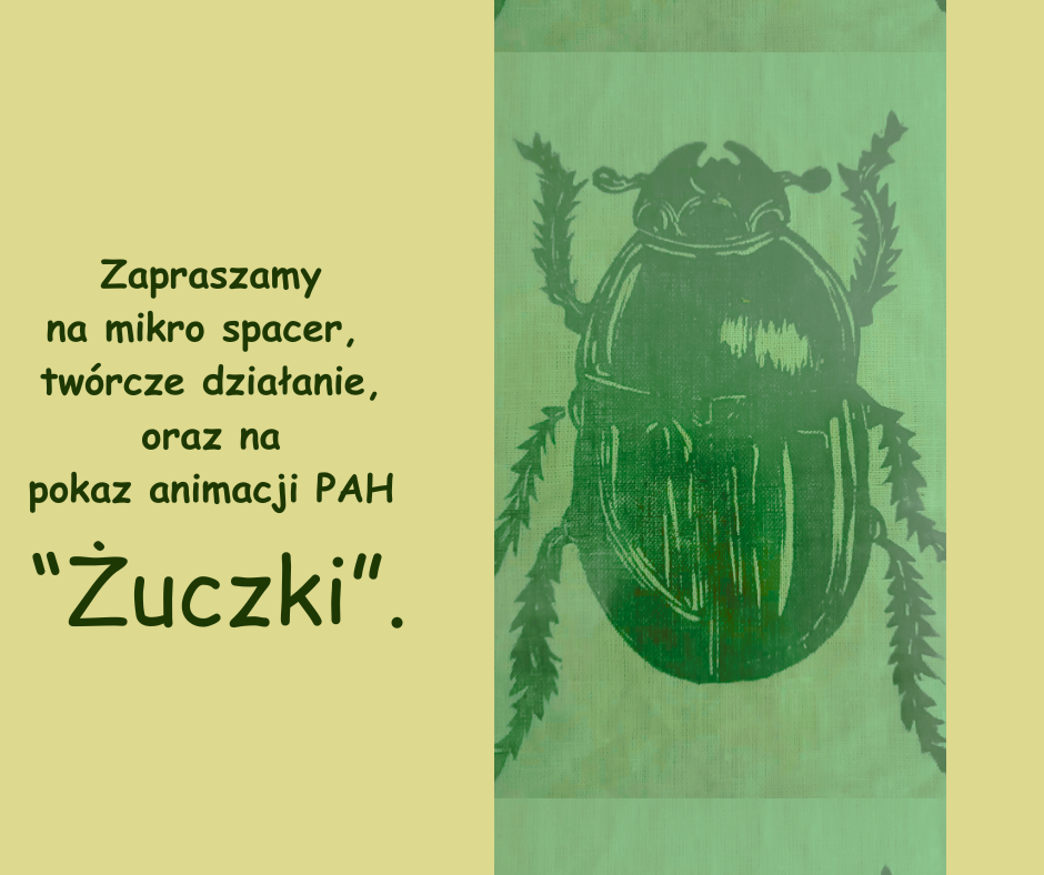 Żuczki- mikro spacer, twórcze działanie i pokaz animacji PAH – 02.05.2026