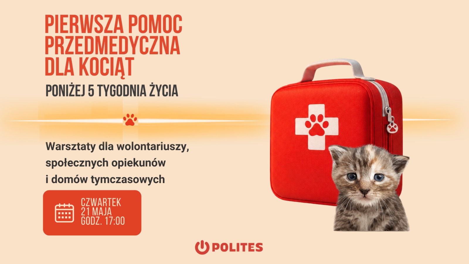 Pierwsza pomoc przedmedyczna dla kociąt | czw 21 maja o 17:00